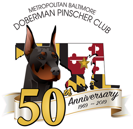 logo-447.png