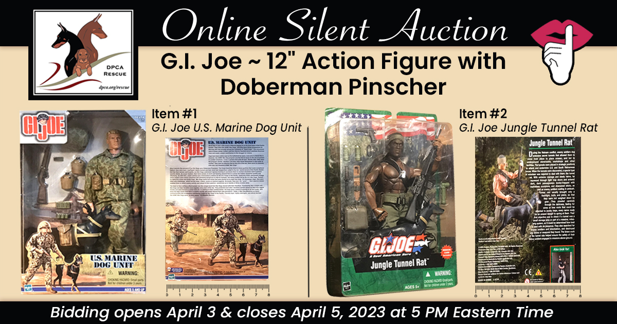 DPCA Rescue - Silent Auction